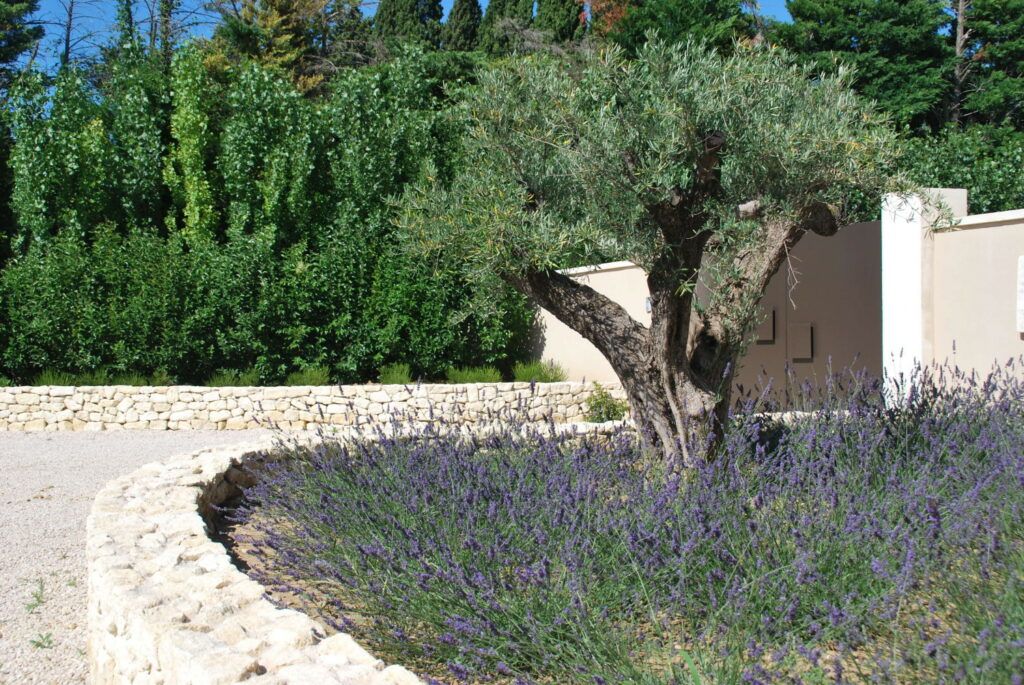 location villa de luxe